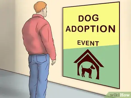 Image titled Adopt a Fostered Dog Step 13