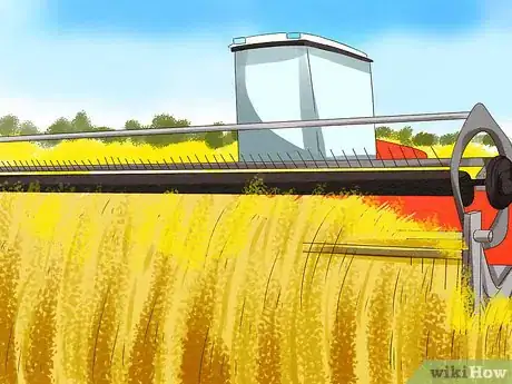 Image titled Cut Grain with a Swather Step 6