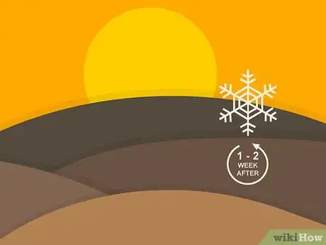 Image titled Grow Cumin Step 14