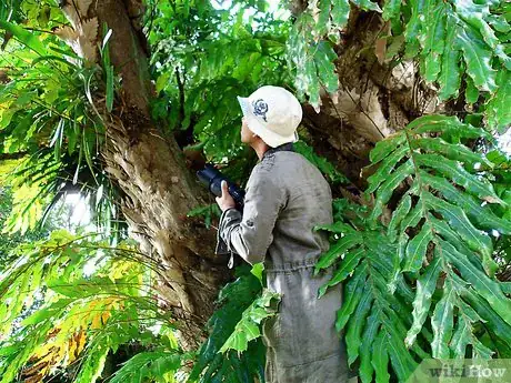 Image titled Shoot Wildlife Photography Step 3