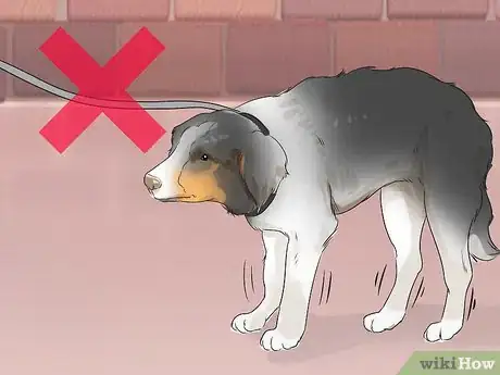 Image titled Help Your Older Dog Navigate Slippery Floors Step 9