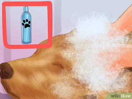 Image titled Groom a Thick Furred Dog Step 3