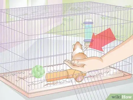 Image titled Clean Out a Guinea Pig's Hutch Step 13