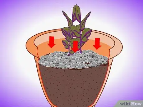 Image titled Plant Aquatic Plants Step 17