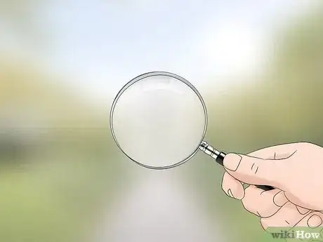 Image titled Watch Insects Step 2