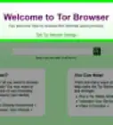 Bypass an Internet Filter With Tor