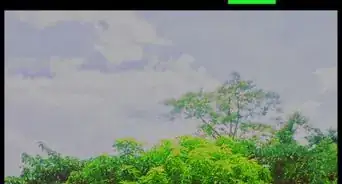 Create the Golden Hour Look in VSCO on iPhone or iPad