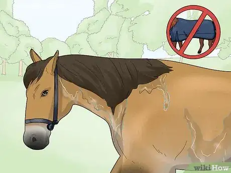 Image titled Take off a Horse Blanket Step 8