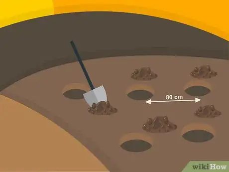 Image titled Grow Cumin Step 16