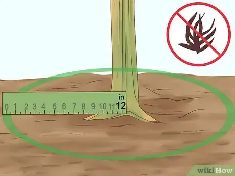 Image titled Grow Cinnamon Step 13