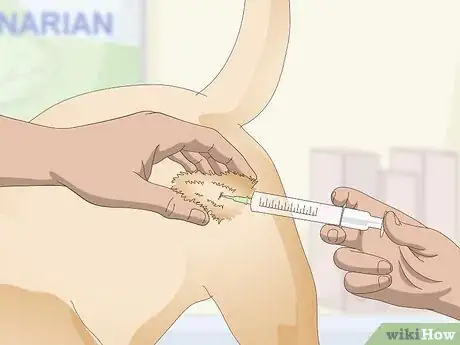 Image titled Treat Canine Tick Problems Step 18