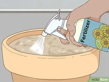 Image titled Plant Turing Sunflowers Step 10