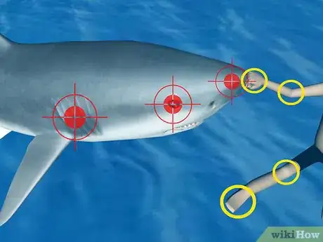 Image titled Survive a Shark Attack Step 4Bullet3