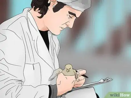 Image titled Be a Poultry Farmer Step 15