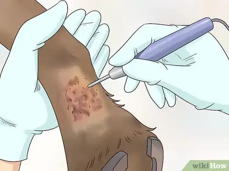 Image titled Treat Grease Heel in Horses Step 9