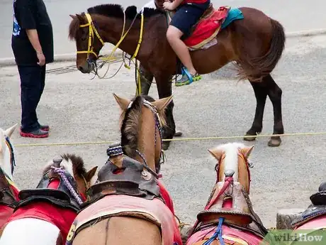 Image titled Behave Around a Horse Step 5
