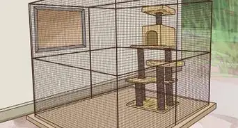 Protect Small Yard Animals from Cats