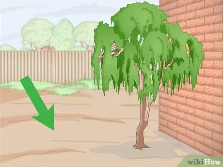 Image titled Plant Guanabana Seeds Step 3