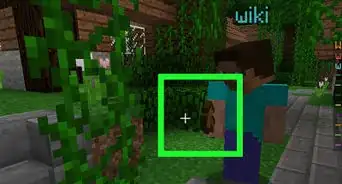 Play the Minecraft Survival Games