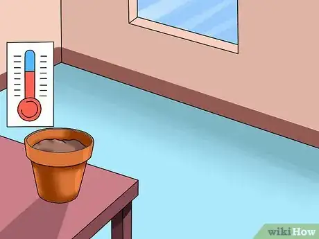 Image titled Grow Coleus Step 5