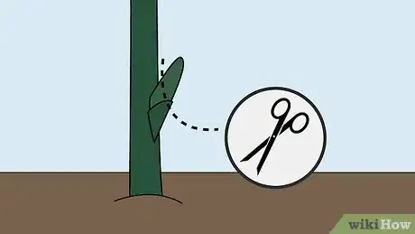 Image titled Care for a Midnight Blue Rose Bush Step 14