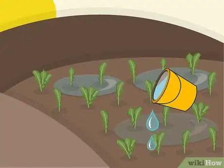 Image titled Plant Arugula Step 18