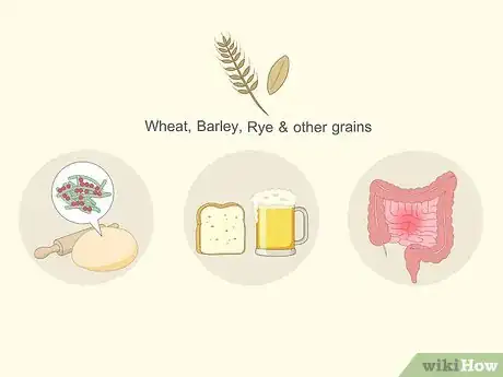Image titled Test for Gluten Intolerance Step 1