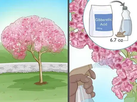 Image titled Stop a Cherry Tree from Bearing Fruit Step 1