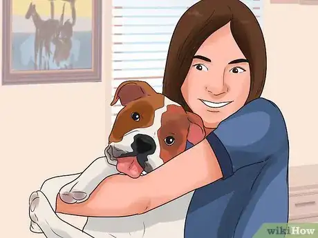Image titled Become Your Dogs' Playmate Step 1