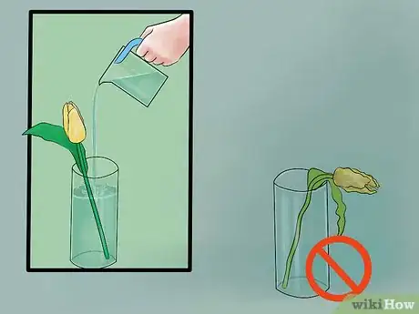 Image titled Care for Fresh Cut Tulips Step 9