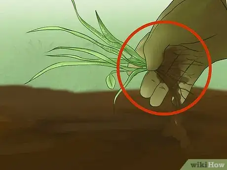 Image titled Pull Weeds Step 10