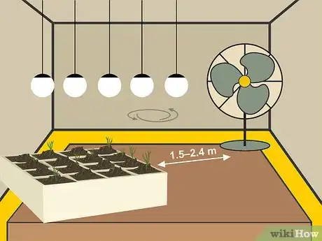 Image titled Grow Cumin Step 10