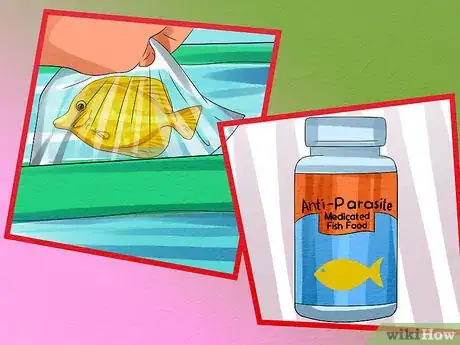 Image titled Keep Saltwater Fish Without Doing Water Changes Step 5