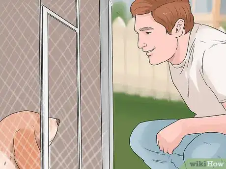 Image titled Choose an Active Dog Step 22