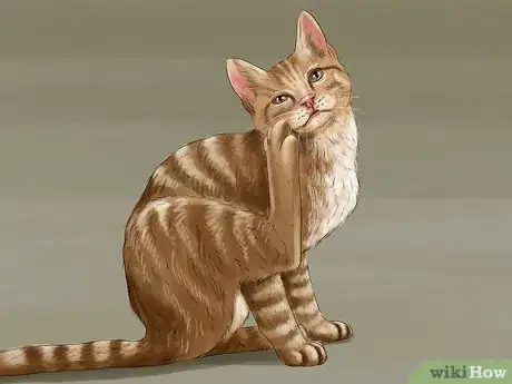 Image titled Know if Your Cat Needs Gluten‐Free Food Step 1