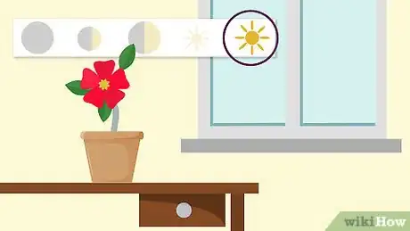 Image titled Grow Adeniums Step 12