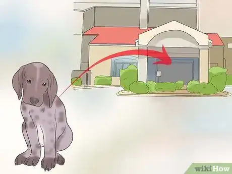 Image titled Care for German Shorthaired Pointers Step 19