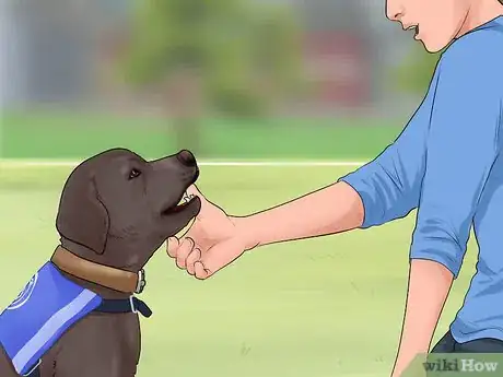 Image titled Help Those Who Have a Disability Step 9