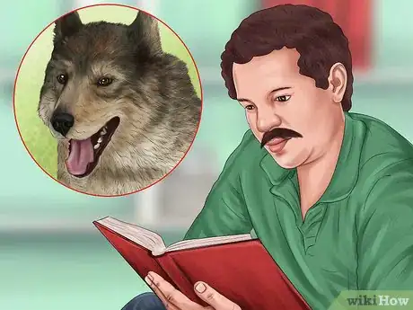 Image titled Keep an Older Dog Warm in Cold Weather Step 1