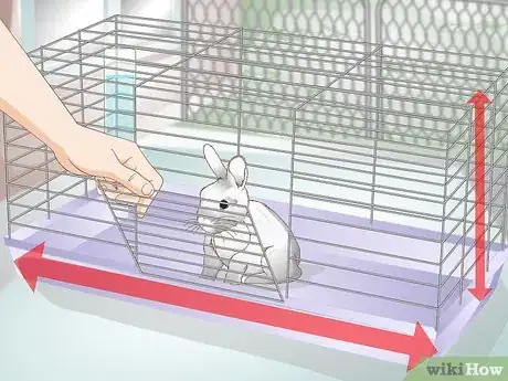 Image titled Spoil Your Pet Rabbit Step 9