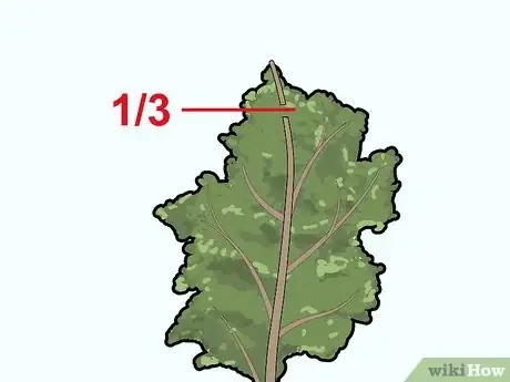 Image titled Prune Pecan Trees Step 10