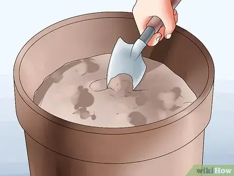 Image titled Grow Clematis in Pots Step 11