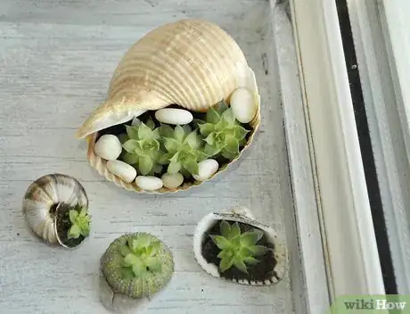 Image titled Make a Seashell Planter Step 11