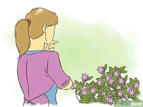 Image titled Prune Clematis Step 6