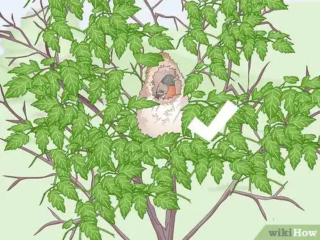 Image titled Trap a Robin Bird Step 12