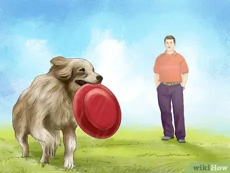 Image titled Deal with House Soiling in Older Dogs Step 9