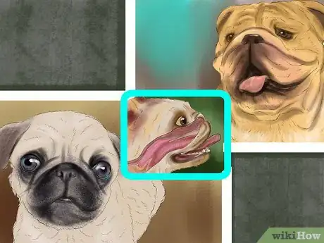 Image titled Prepare for Breed Specific Health Problems in Dogs Step 7