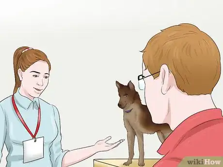 Image titled Become a Dog Show Judge Step 7