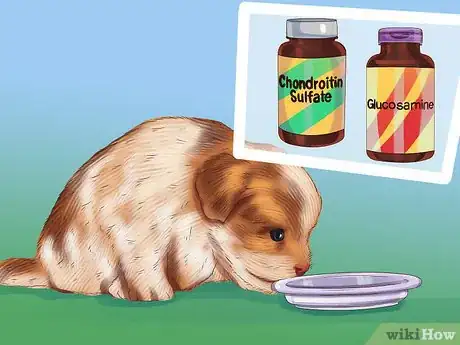 Image titled Treat Patellar Luxation in Shih Tzus Step 10