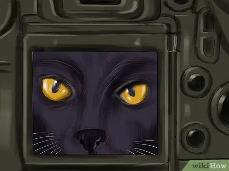 Image titled Take Pictures of Your Black Pet Step 11